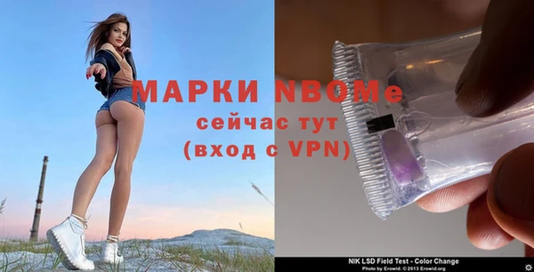 прущие грибы Алзамай