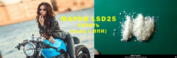 прущие грибы Алзамай
