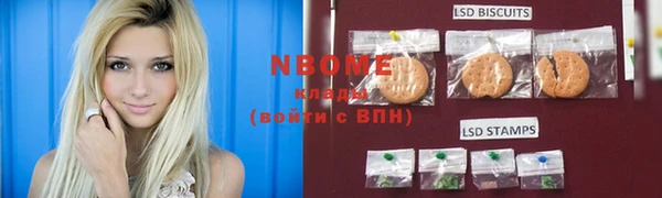 прущие грибы Алзамай