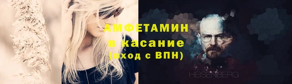 прущие грибы Алзамай