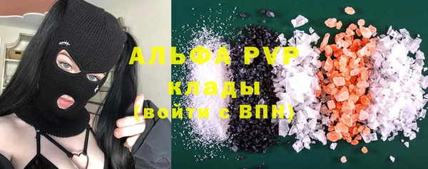 прущие грибы Алзамай