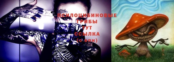 прущие грибы Алзамай