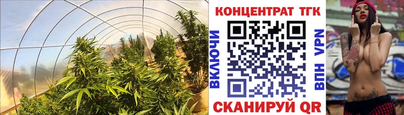 гидра ссылки Кемь Дистиллят ТГК вейп с тгк